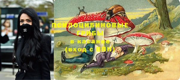 экстази Няндома