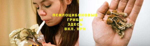 марки nbome Нязепетровск