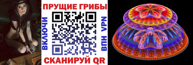 Галлюциногенные грибы Psilocybine cubensis  Купить закладки  Ардон 